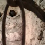 Bed and breakfast Il Cauto