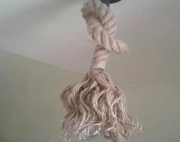 Il Cauto